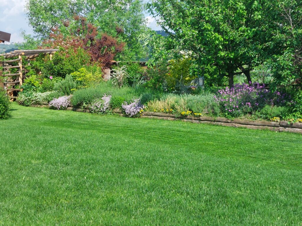 Manutenzione giardini a Dogliani 