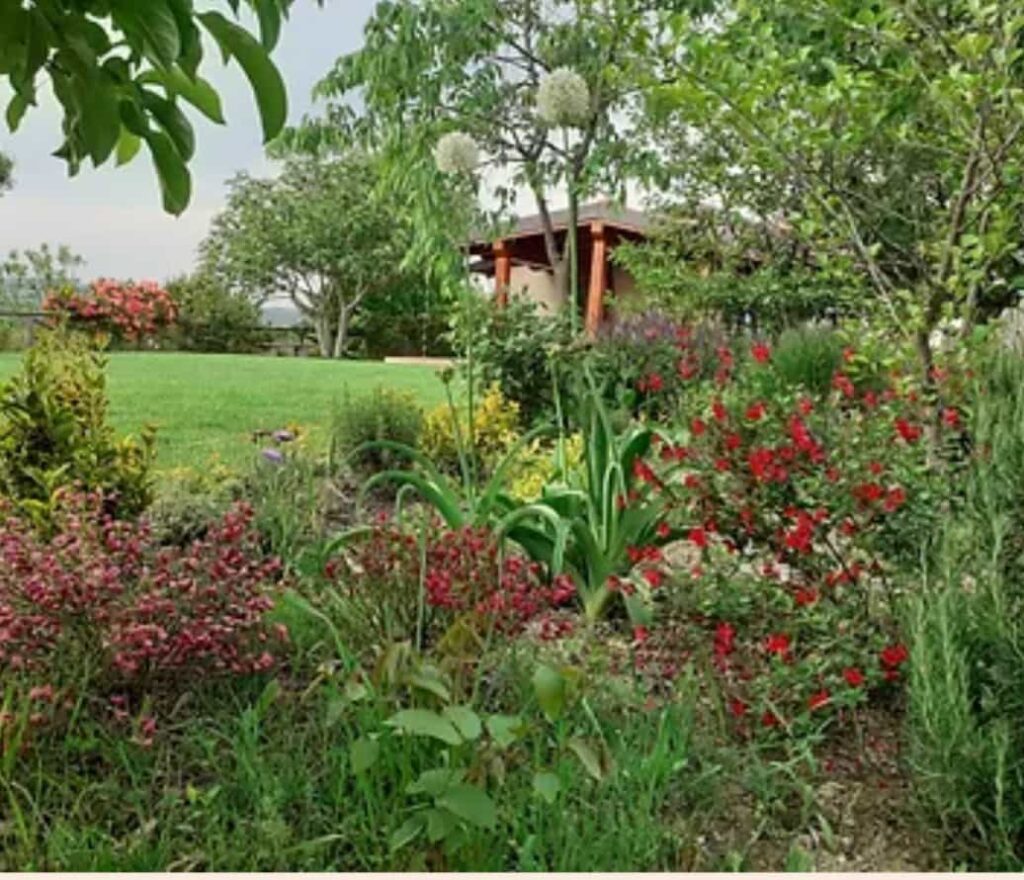 Potatura siepi a Dogliani